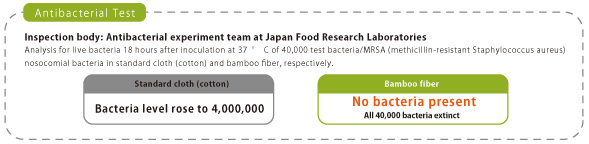 竹の抗菌試験