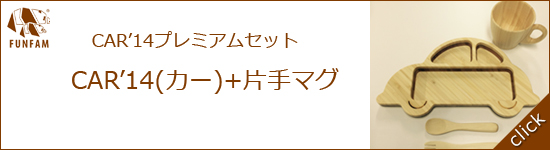 カープレミアムセット